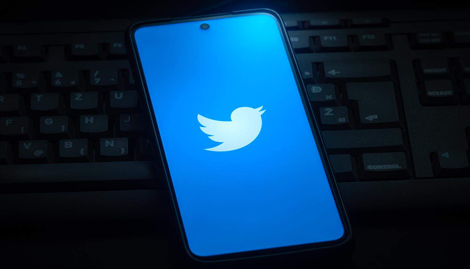Twitter logo on smartphone screen showing 2FA for account security